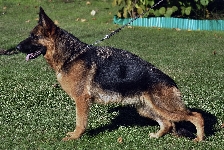 Photo1