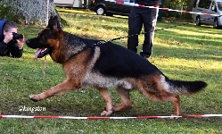 Photo3