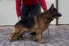 Photo1