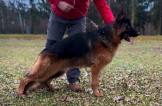 Photo1