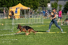 Photo3