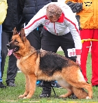Photo1