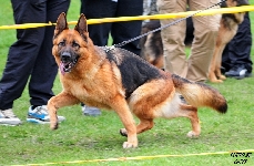 Photo2