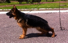 Photo1