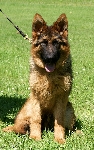 Photo3