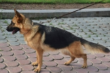 Photo2