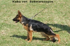 Photo2