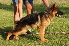 Photo1